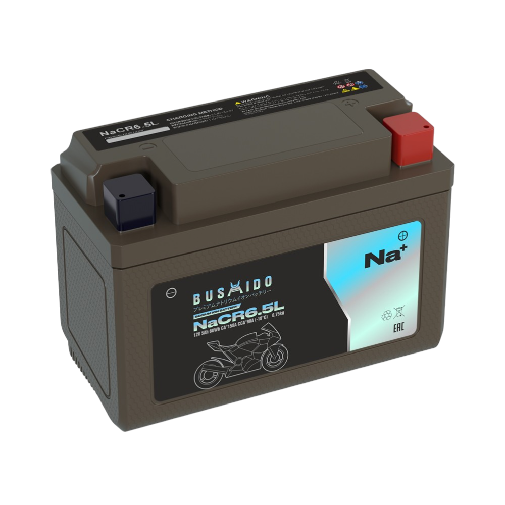 BUSHIDO NaCR6.5L YB6.5L-BS 90А 5 Ач
