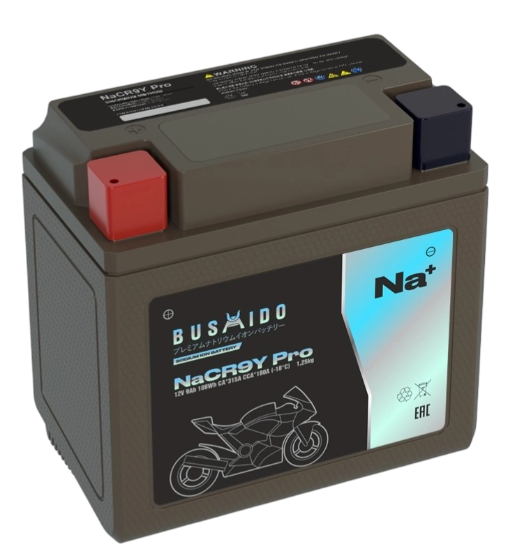 BUSHIDO NaCR9Y pro YB9-BS 9 Ач