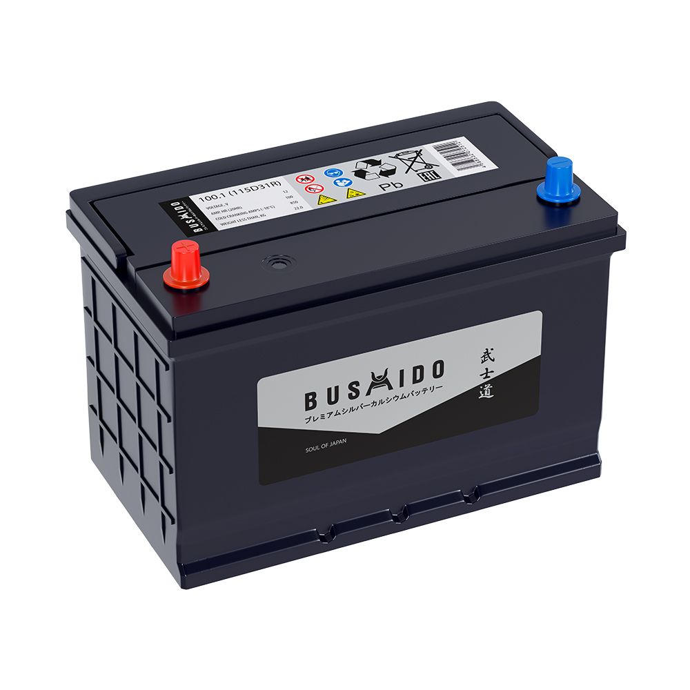 BUSHIDO SJ 100.1 115D31R 100 Ач